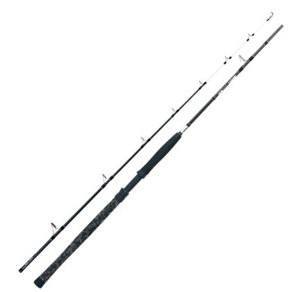 Въдица за риболов на сом Fil Fishing GIANT CATFISH 3.20м/ 600гр