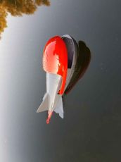 Ракета за захранване Carp System DOT SPOD