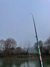 Болонезе Fil Fishing ELEGANT BOLO 5.0м/ до 30гр